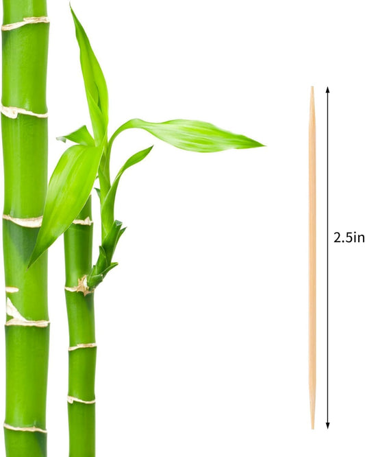 Damuzhi 1PS Toothpick Holder with 550 Count Bamboo Toothpicks