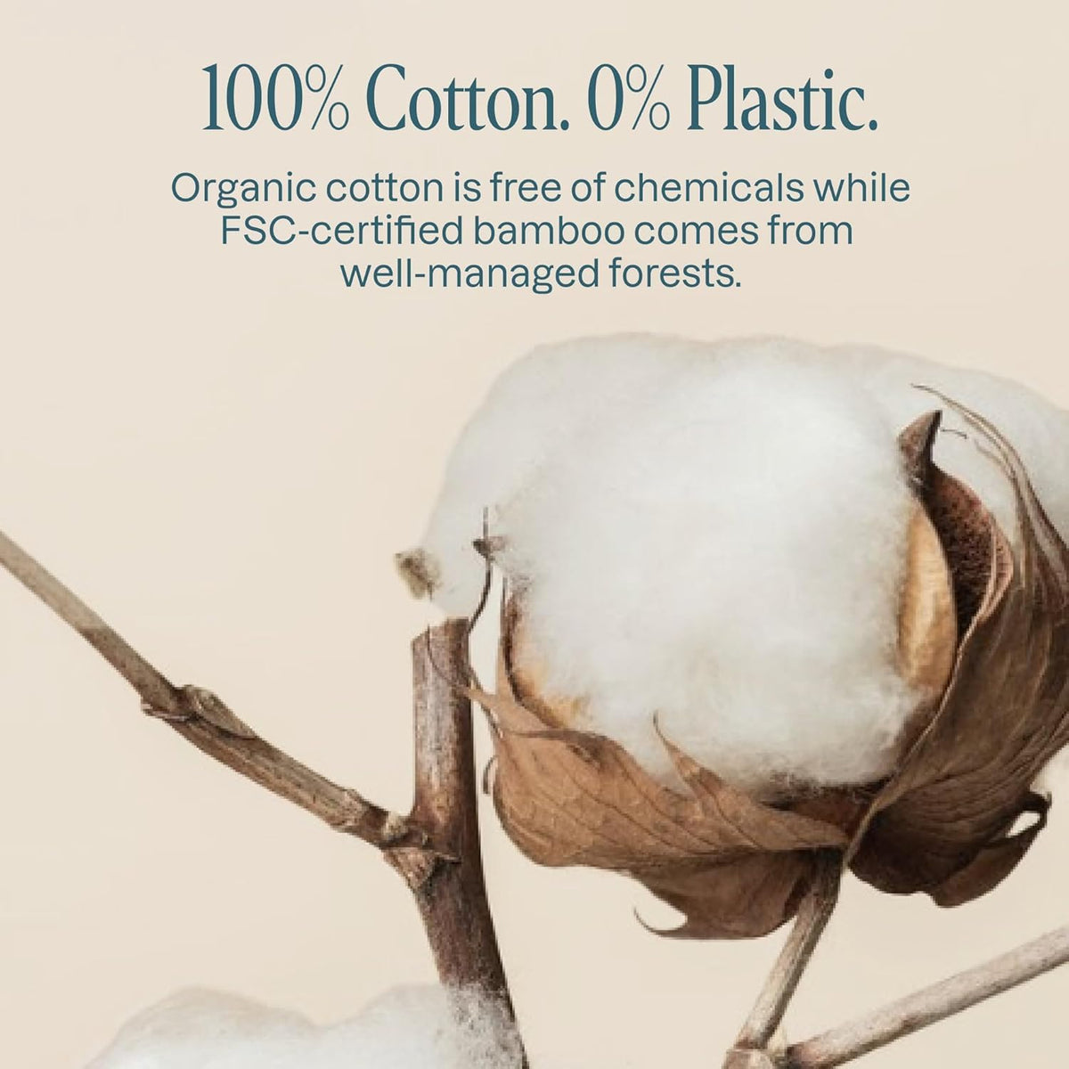 Organic Bamboo Cotton Swabs, 300 Count