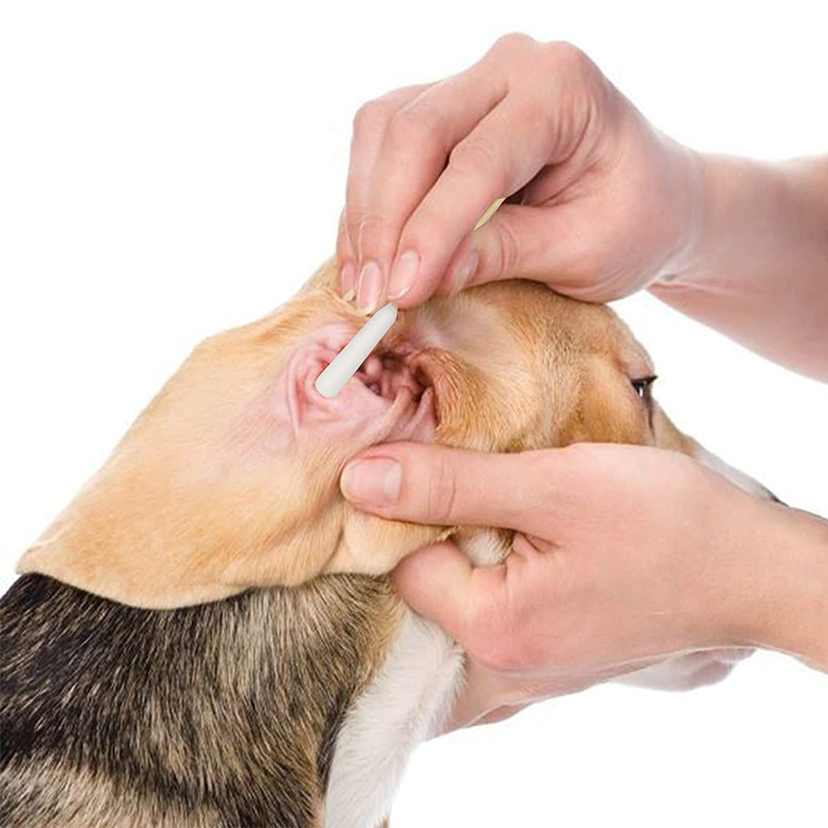 6 Inch Long Cotton Swabs of Medium&Large Pets Ears Cleaning,Makeup 200pcs
