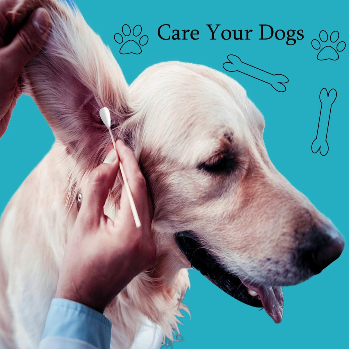 150pcs Large Cotton Swabs,6 Inch Long Large Cotton Buds with Bamboo Handle for Dogs, Specifically Designed for Dogs,Professional Big Cotton Swabs,Dogs Ears Large Cotton Swabs