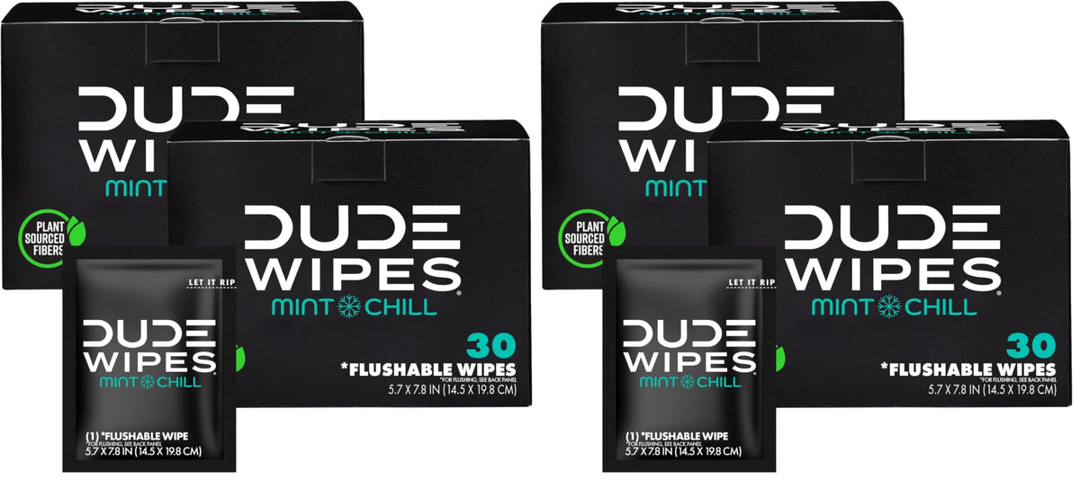 DUDE Wipes On-The-Go Unscented Adult Flushable Travel Wipes, 60 Count