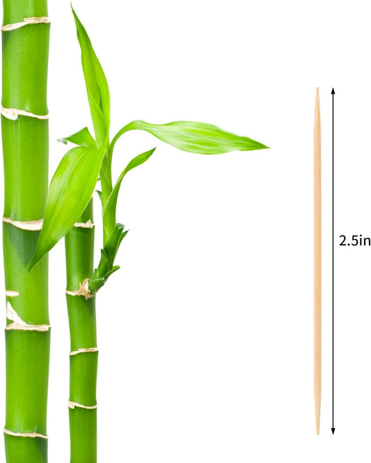 2PS Toothpick Holder with 1000 Count Bamboo Toothpicks