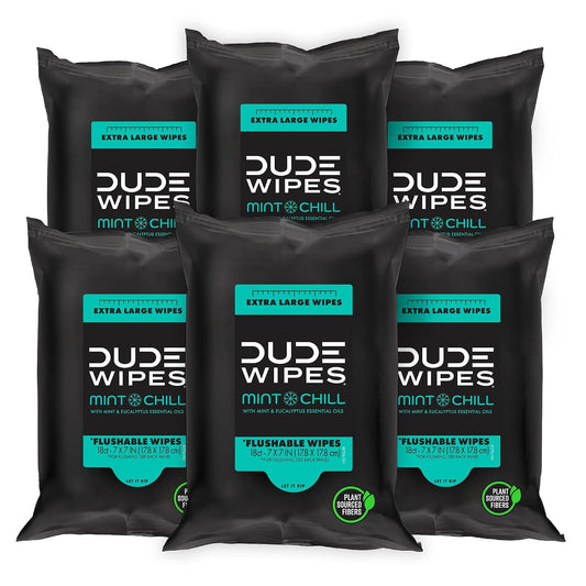 DUDE Wipes Mint Chill Adult Flushable Travel Wipes, Camping, 108 Count