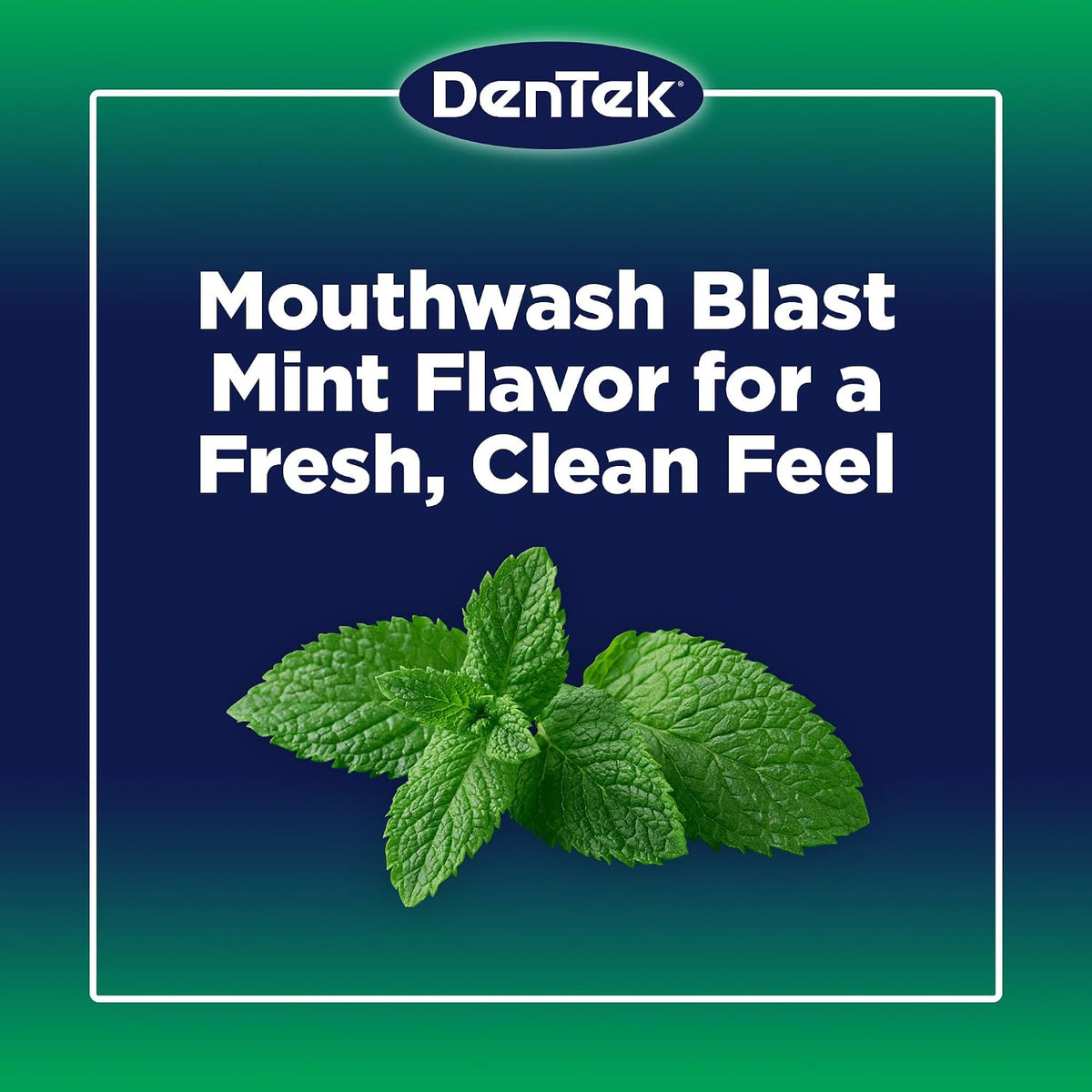 DenTek Floss Picks, Advanced Clean, Plaque Remover, 150 Count