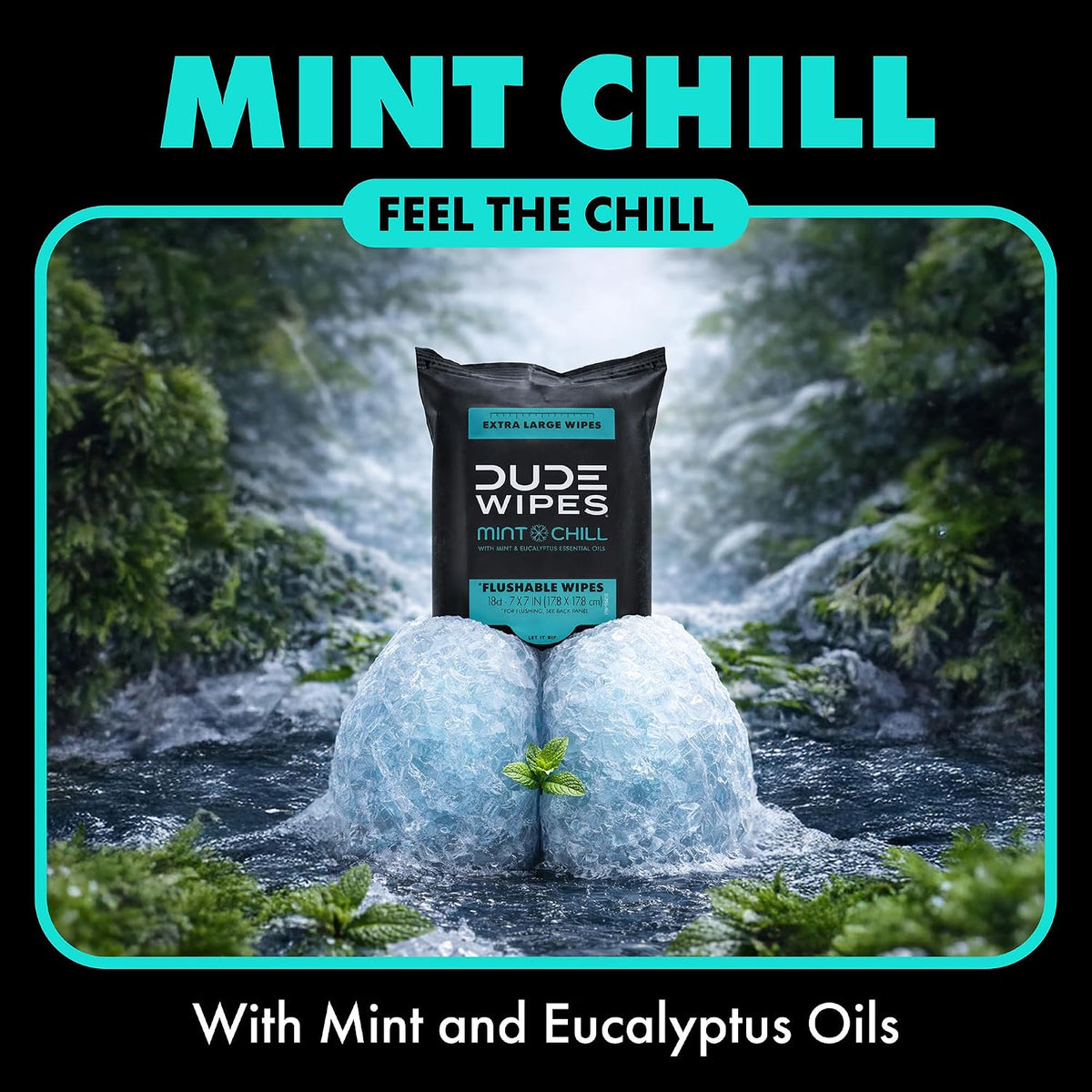 DUDE Wipes Mint Chill Adult Flushable Travel Wipes, Camping, 108 Count